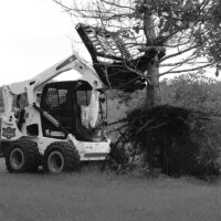TREE PULLER - Image 5