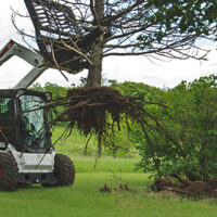 TREE PULLER - Image 6